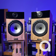 Load image into Gallery viewer, FYNE Audio F301