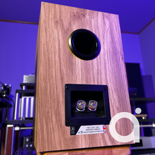 Load image into Gallery viewer, FYNE Audio F301