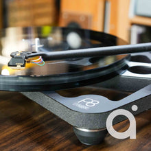 Load image into Gallery viewer, Rega P8