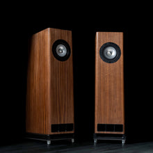 Load image into Gallery viewer, AIME Duo Floorstanding Speakers