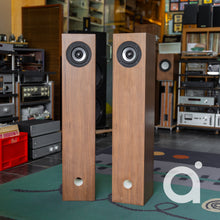 Load image into Gallery viewer, EJ Jordan Floorstanders