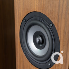 Load image into Gallery viewer, EJ Jordan Floorstanders