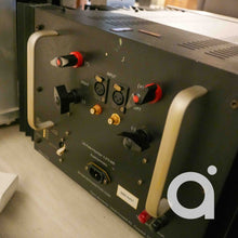 Load image into Gallery viewer, Pass Labs X350