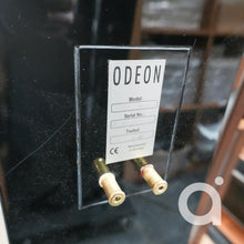 Load image into Gallery viewer, Odeon La Traviata