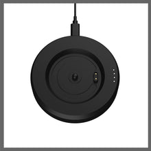 Load image into Gallery viewer, HumminGuru LUMI Record Stabiliser