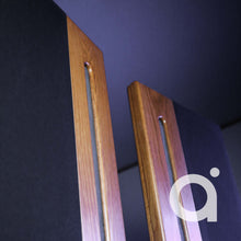 Load image into Gallery viewer, Apogee Centaur Major Floorstanding Speakers