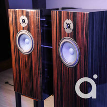 Load image into Gallery viewer, Audio Note AN-E/SPe HE Loudspeakers