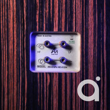 Load image into Gallery viewer, Audio Note AN-E/SPe HE Loudspeakers