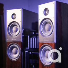 Load image into Gallery viewer, Burmester B18 Loudspeakers
