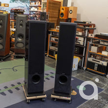 Load image into Gallery viewer, Sonus Faber Chameleon T