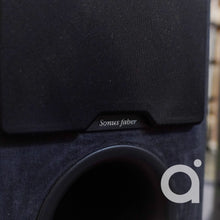 Load image into Gallery viewer, Sonus Faber Chameleon T