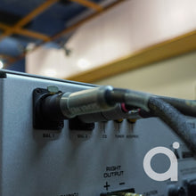 Load image into Gallery viewer, Audio Research Dsi200