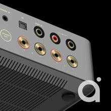 Load image into Gallery viewer, WiiM Vibelink Amplifier