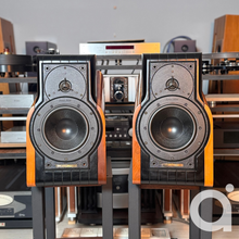 Load image into Gallery viewer, Sonus Faber Extrema
