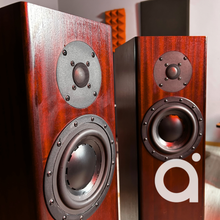 Load image into Gallery viewer, Totem Acoustic Forest 2-Way Floorstanding Loudspeaker
