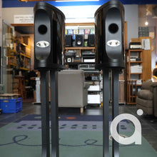 Load image into Gallery viewer, Sonus Faber Liuto Monitor TAS 214 /w Original Sonus Faber Stands
