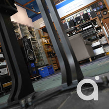 Load image into Gallery viewer, Sonus Faber Liuto Monitor TAS 214 /w Original Sonus Faber Stands
