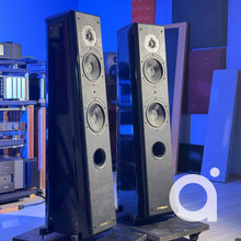 Load image into Gallery viewer, Sonus Faber Grand Piano
