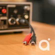 Load image into Gallery viewer, Naim Audio NAIT 50
