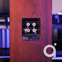 Load image into Gallery viewer, ProAC D30 R Floorstanding Speakers
