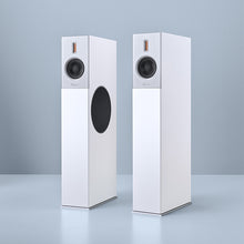 Load image into Gallery viewer, Burmester B38 Speakers
