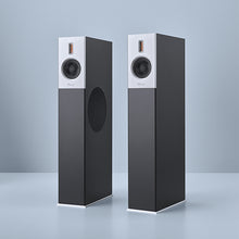 Load image into Gallery viewer, Burmester B38 Speakers
