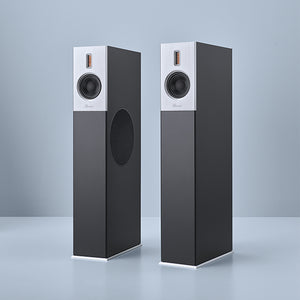 Burmester B38 Speakers